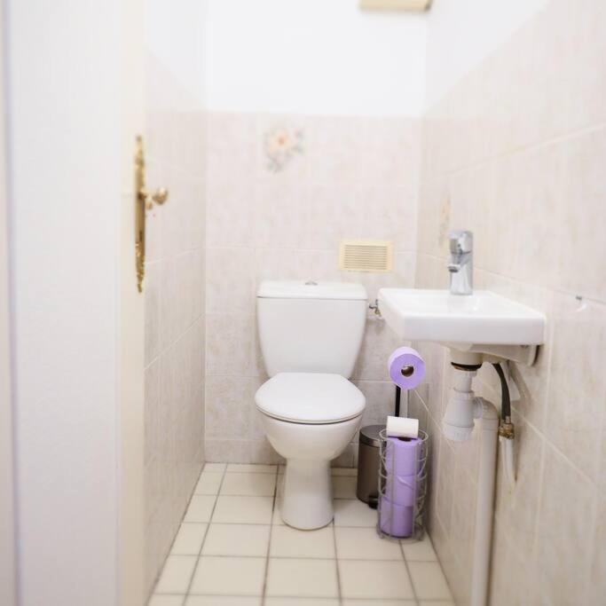 Maison Faure - Centre Ville - Jardin - Garage Vichy Ngoại thất bức ảnh